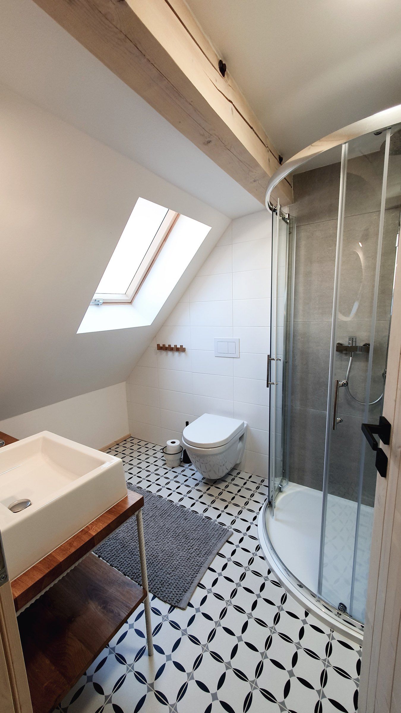 Koupelna apartmánu IV: sprchový kout, záchod a střešní okno